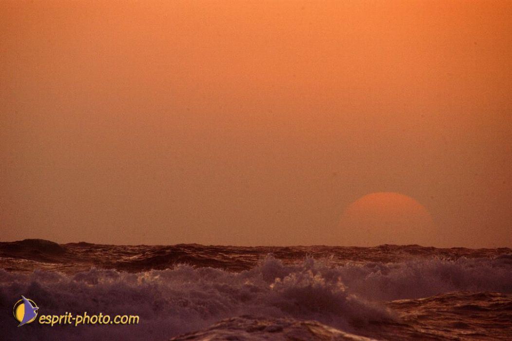 Nom de l'image : EP08-0384_(c)Norbert-JUNG — Description :